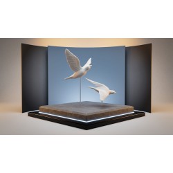 Emblèmes & Symboles funéraires personnalisés — Funeral Memoria